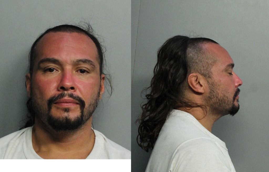 Martinez Christopher Miami Dade County Mugshots Zone