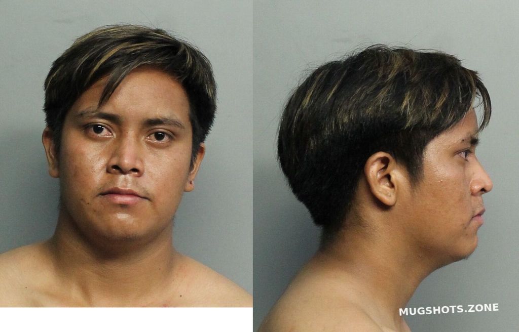 Domingo Domingo Rigoberto Miami Dade County Mugshots Zone