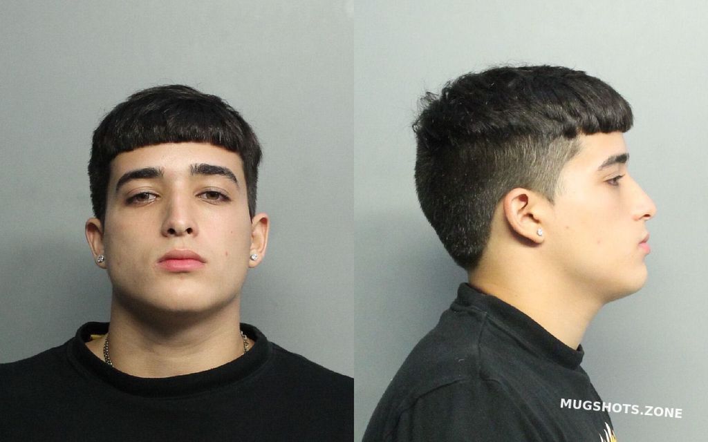 Torres Brian Miami Dade County Mugshots Zone