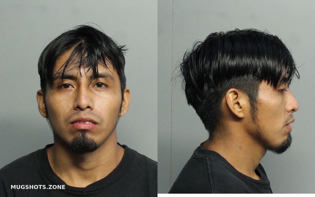 Carrillo Godinez Oscar Miami Dade County Mugshots Zone