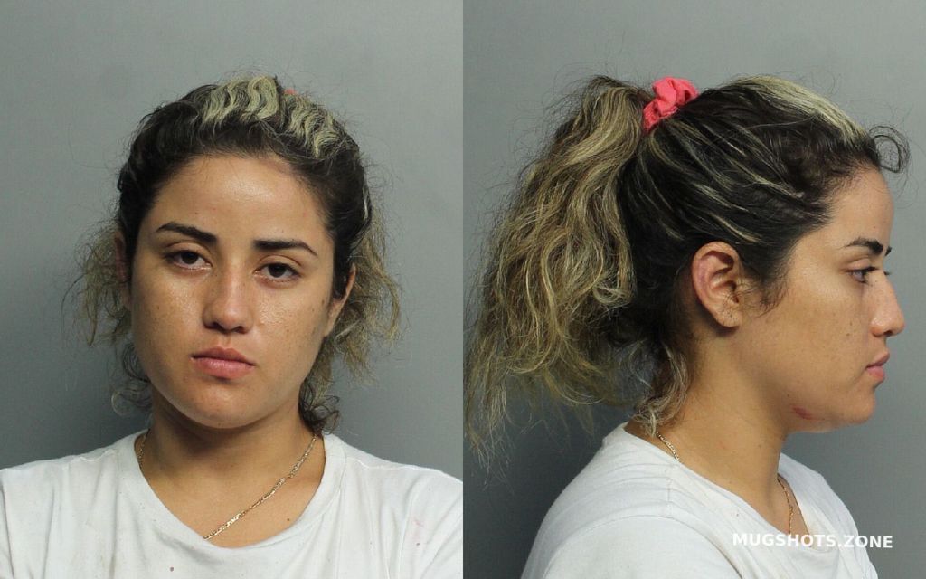 Rios Leslie Fabiola Miami Dade County Mugshots Zone