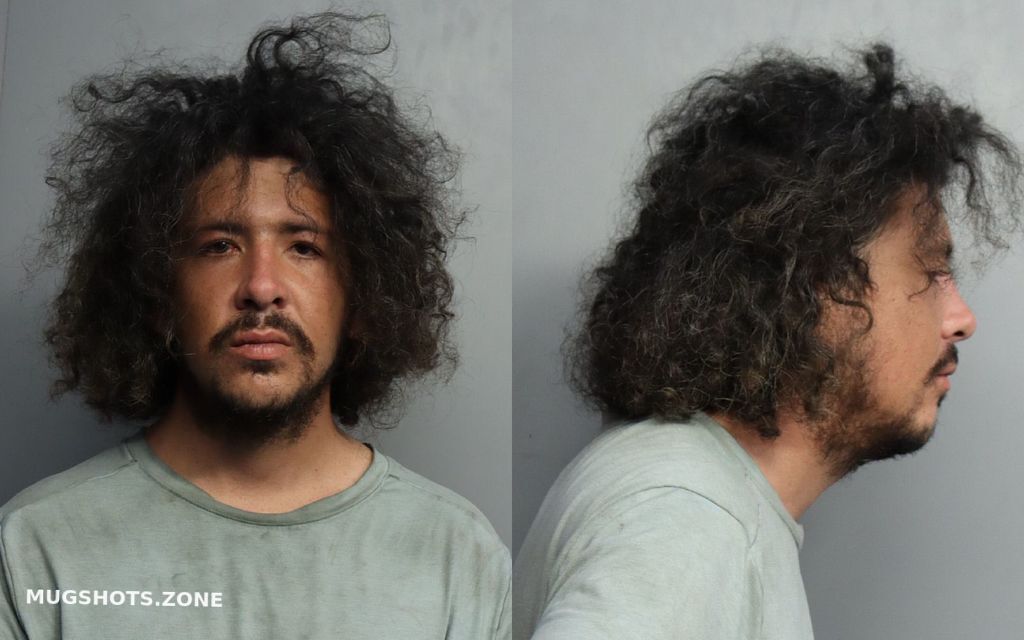 HOYOS JUAN CAMILO 10 08 2021 Miami Dade County Mugshots Zone