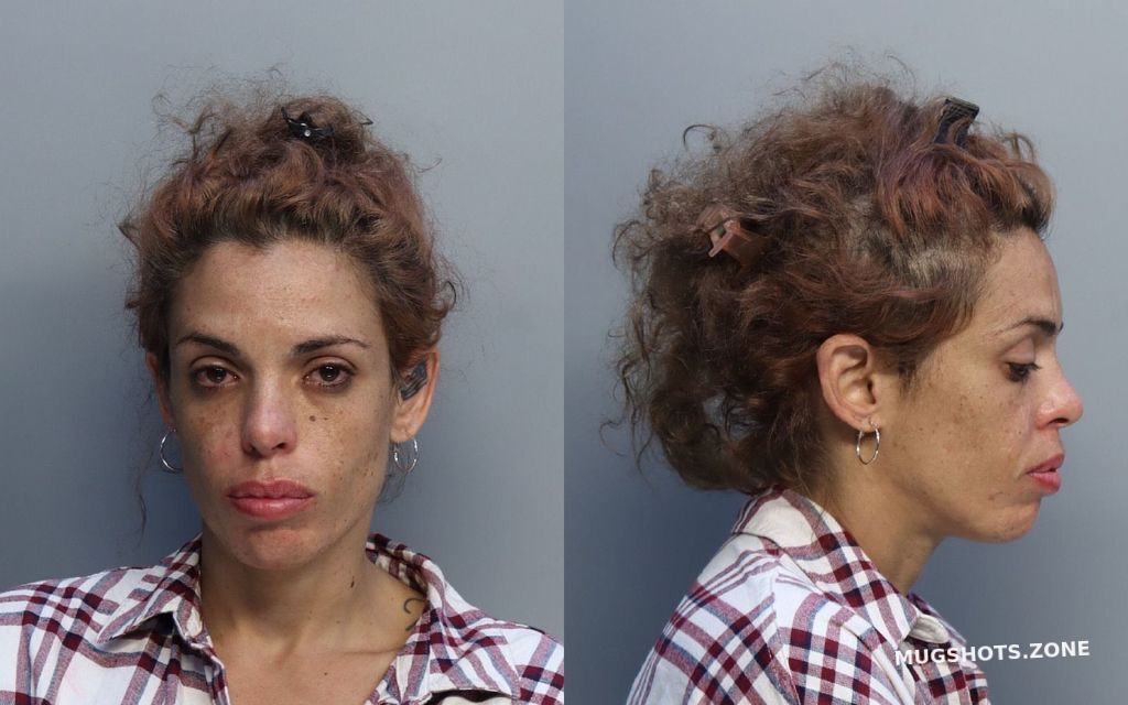 Angel Yesenia Miami Dade County Mugshots Zone