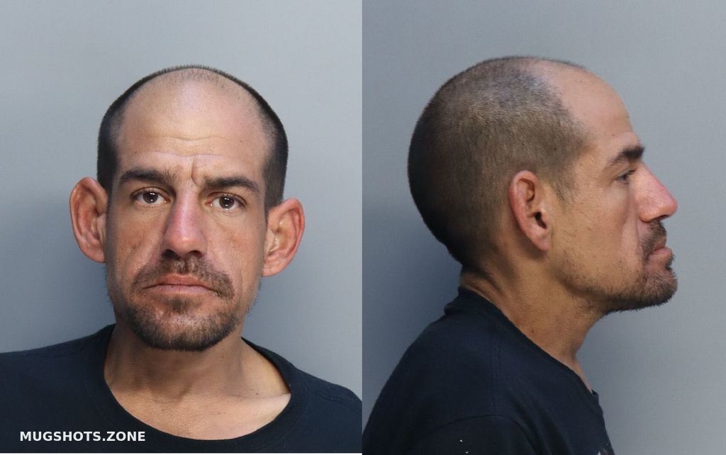 Abreu Julio Cesar Miami Dade County Mugshots Zone