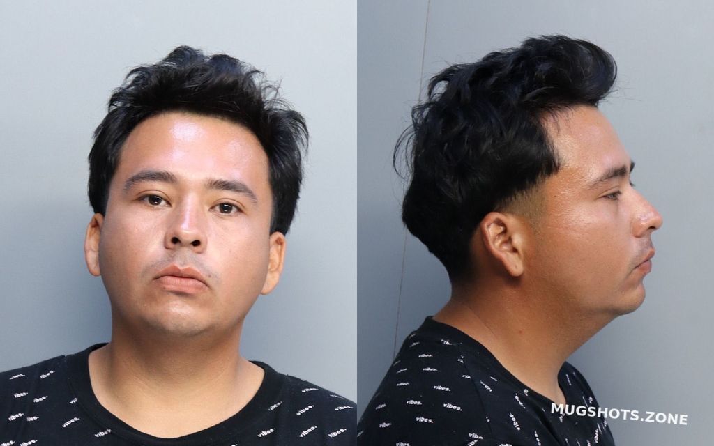 Reyes Daniel Hidalgo Miami Dade County Mugshots Zone