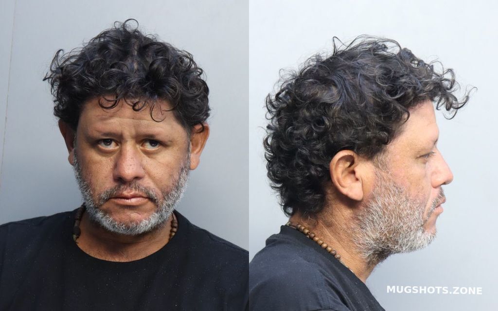 Andino Johan A Miami Dade County Mugshots Zone