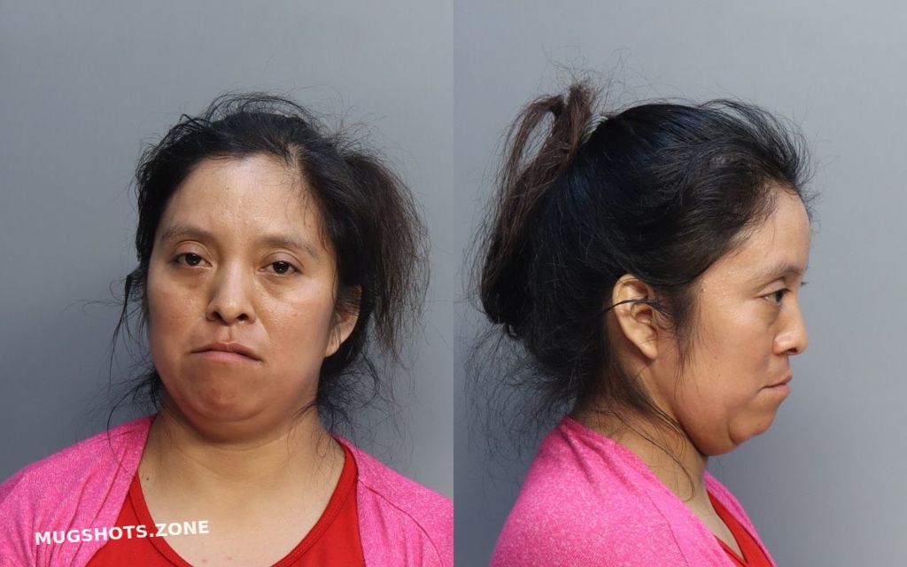 Domingo Norma Miami Dade County Mugshots Zone