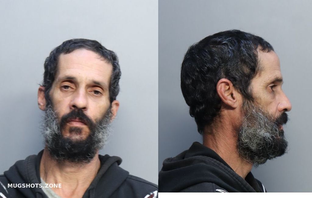 Leyva Maikel Miami Dade County Mugshots Zone