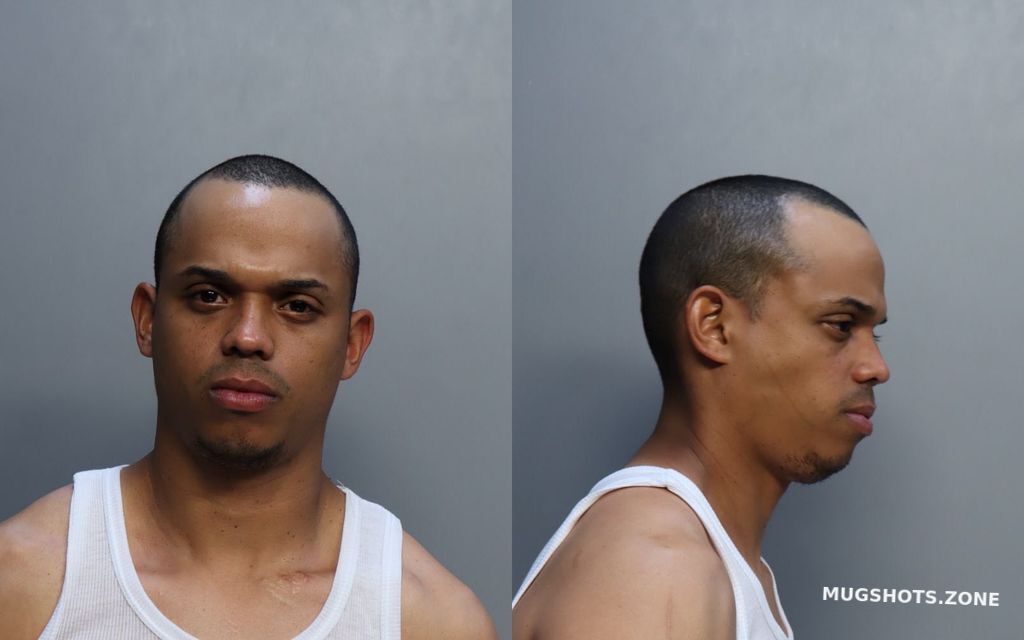 Mesa Leonel Miami Dade County Mugshots Zone