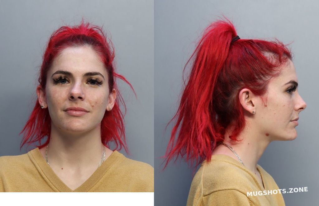 Garcia Samy Miami Dade County Mugshots Zone