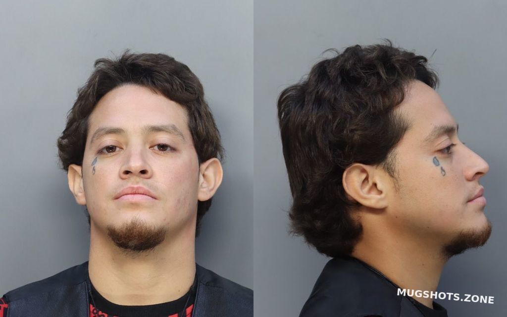 NAVARRO JANNCARLOS 03 04 2022 Miami Dade County Mugshots Zone