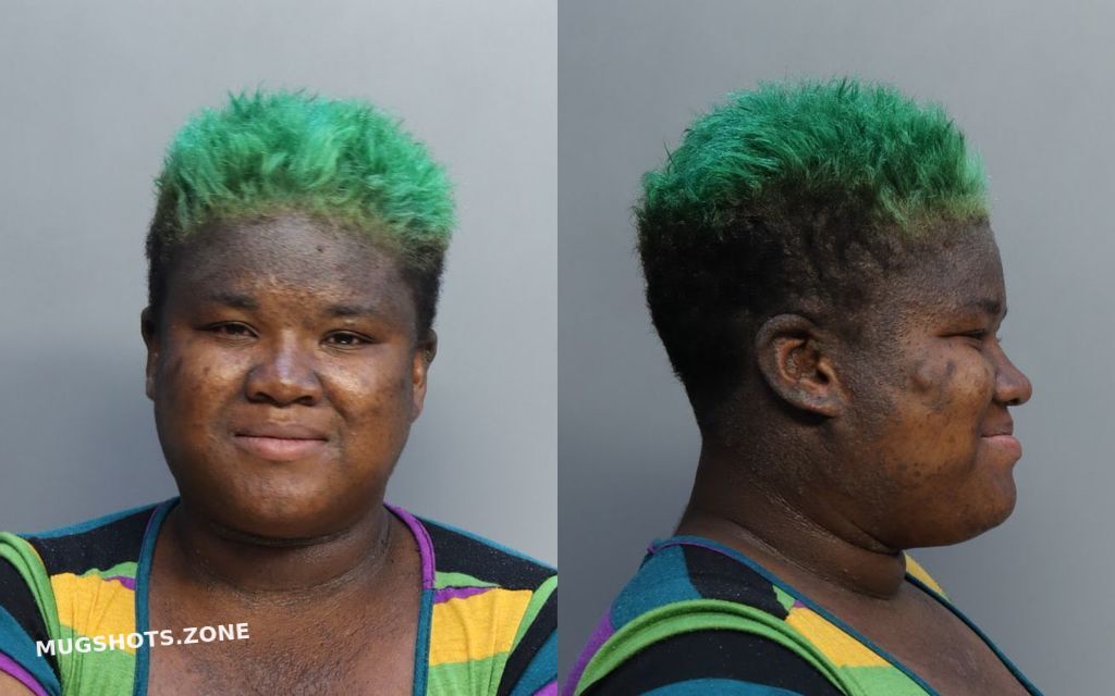 Herron Tiara Yesenia Miami Dade County Mugshots Zone