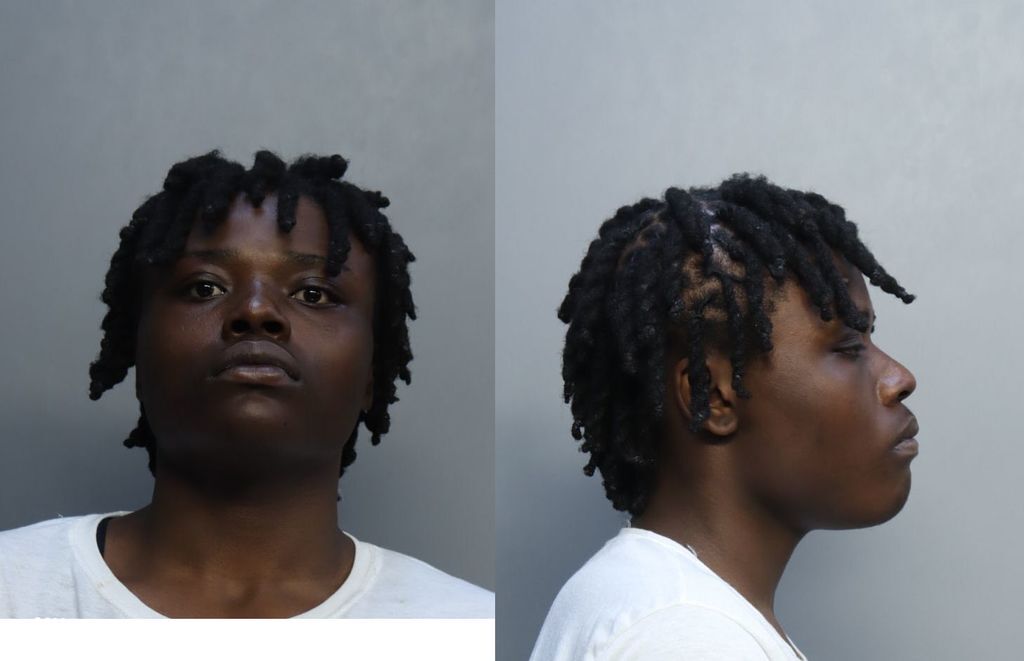 Neal Jarvis Sincerezair Miami Dade County Mugshots Zone