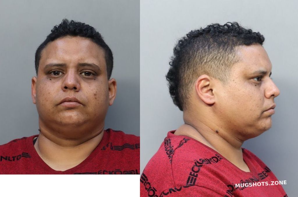 Ulloa Ana Marta Miami Dade County Mugshots Zone