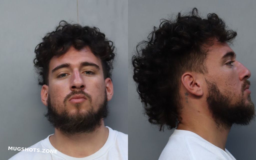 JABOUR JOHAN 04 08 2022 Miami Dade County Mugshots Zone