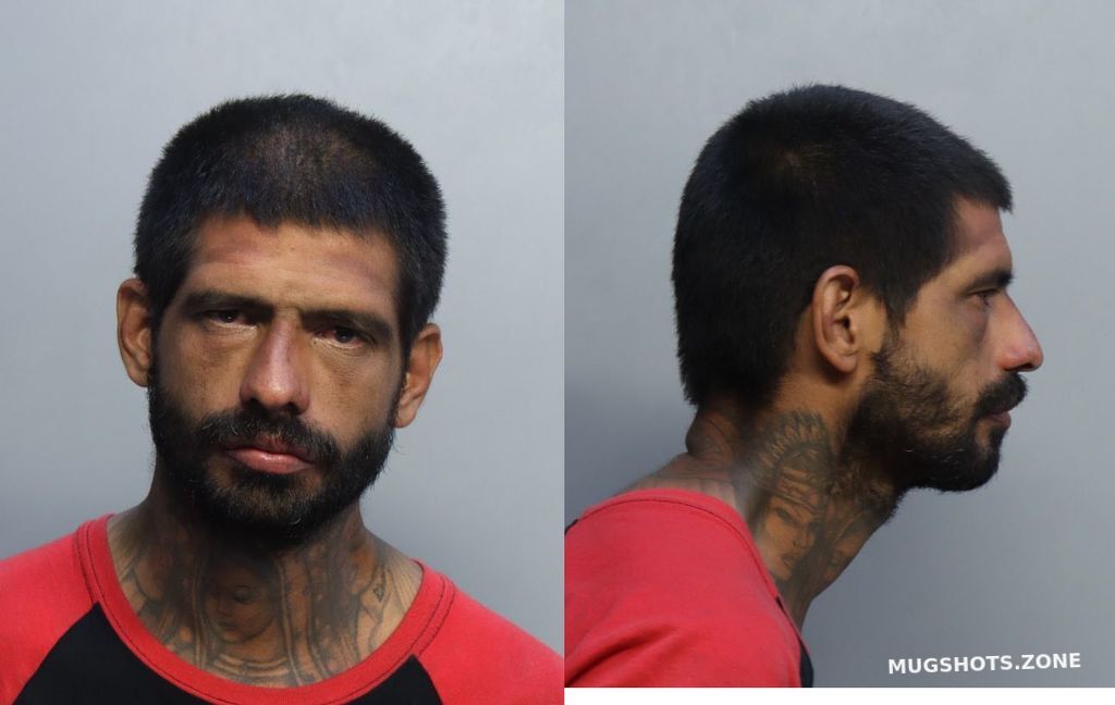 Medina Israel Miami Dade County Mugshots Zone