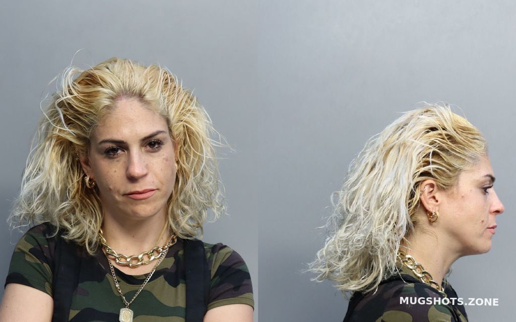 BRIOSO KARIN 04 22 2022 Miami Dade County Mugshots Zone