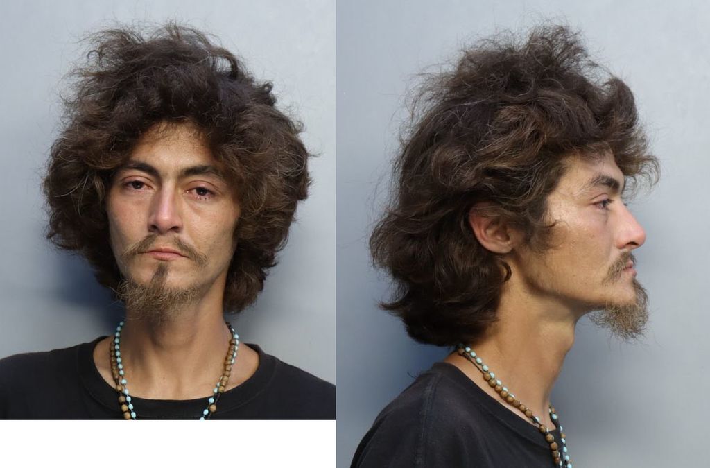 Pauley Joseph Miami Dade County Mugshots Zone