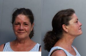 Rivera Annette Michelle Miami Dade County Mugshots Zone