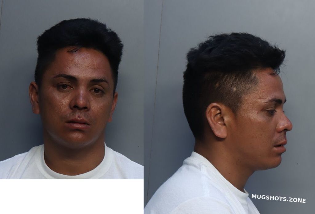 Acosta Kenny Miami Dade County Mugshots Zone