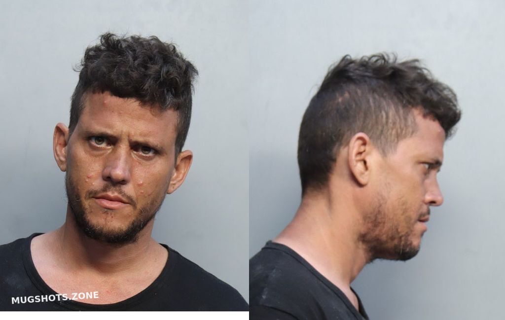 FARIAS REYNEL 06 29 2022 Miami Dade County Mugshots Zone