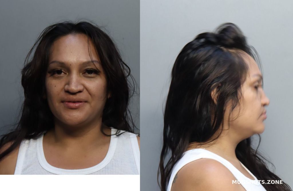 Maldonado Claudia Miami Dade County Mugshots Zone