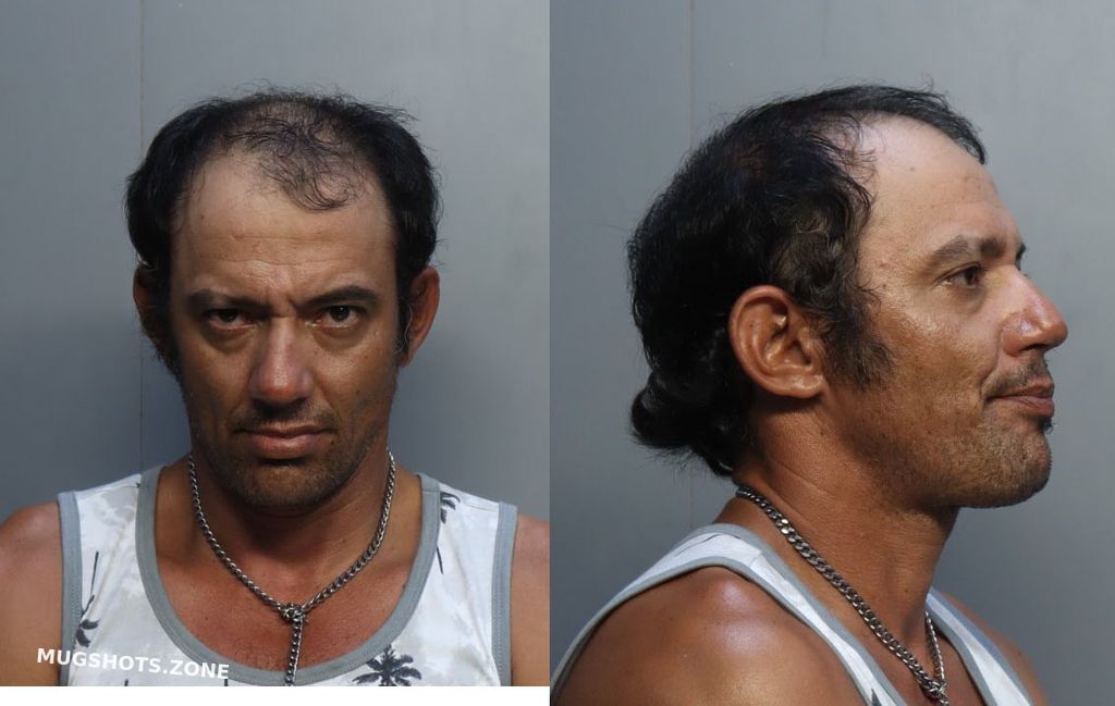 Padilla Yusneidy Miami Dade County Mugshots Zone