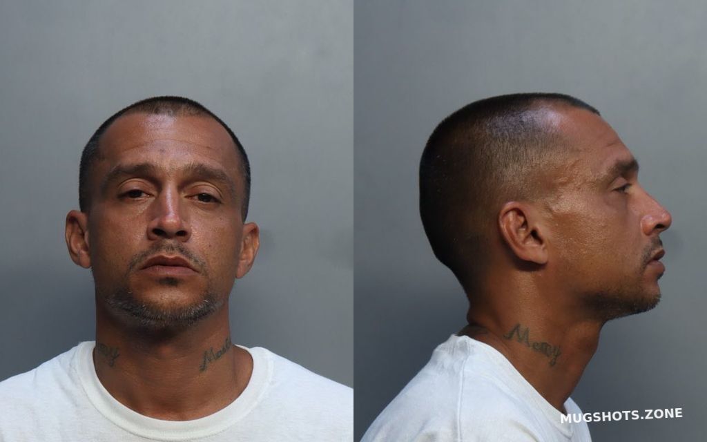 Torres Javier Miami Dade County Mugshots Zone