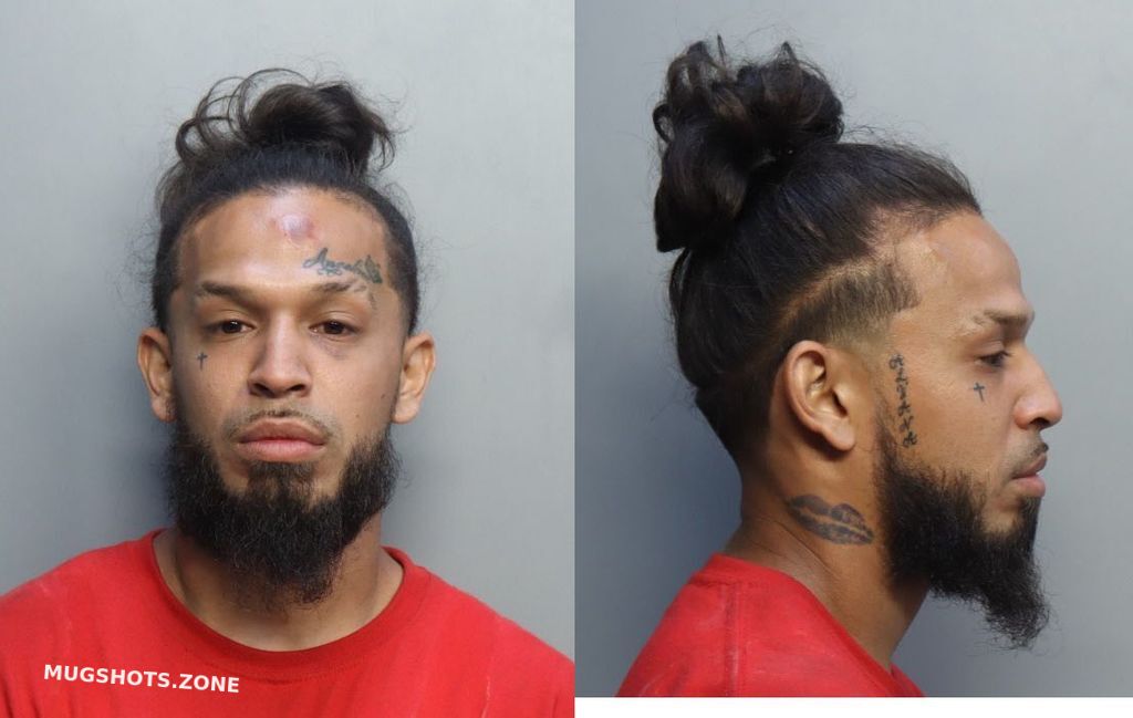 Reyes Hector Alexis Miami Dade County Mugshots Zone