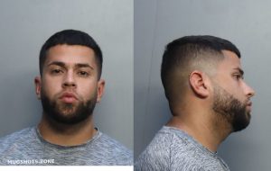 Miami Dade County Mugshots Zone