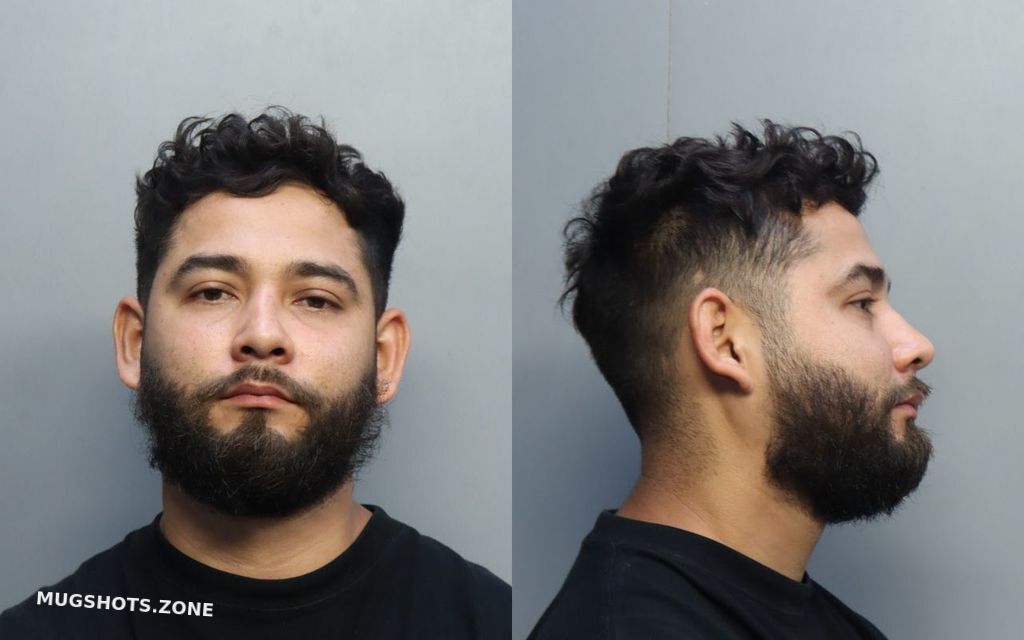 Ramirez Brian Nicolas Miami Dade County Mugshots Zone