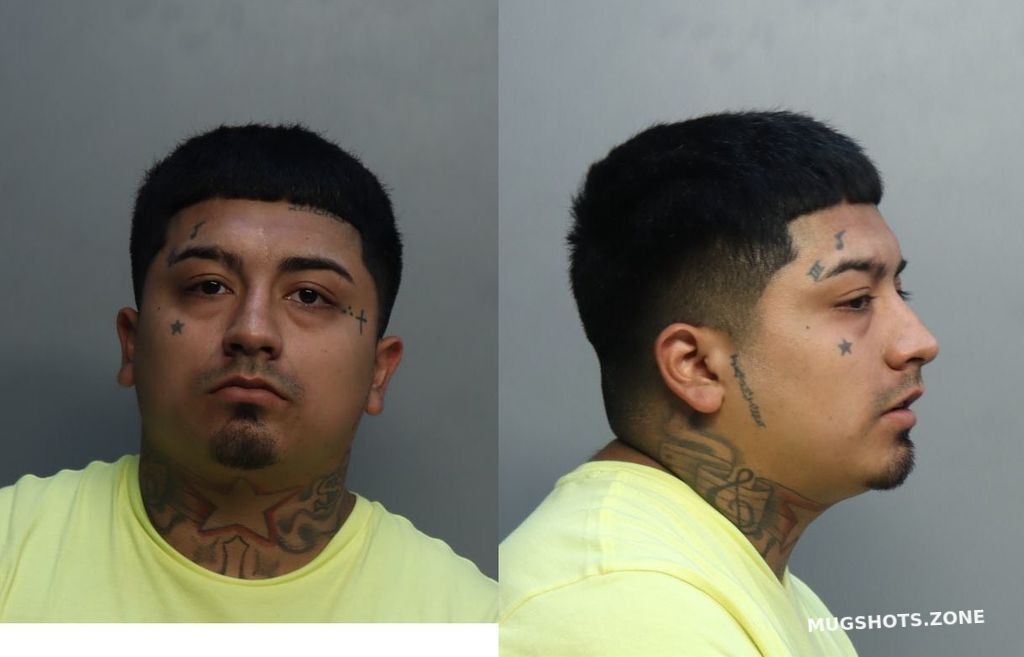 Rincon Pablo Miami Dade County Mugshots Zone