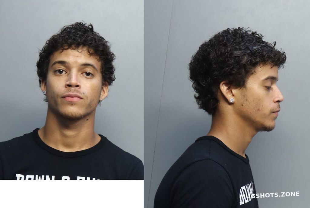 Diazdanger Alejandro Miami Dade County Mugshots Zone