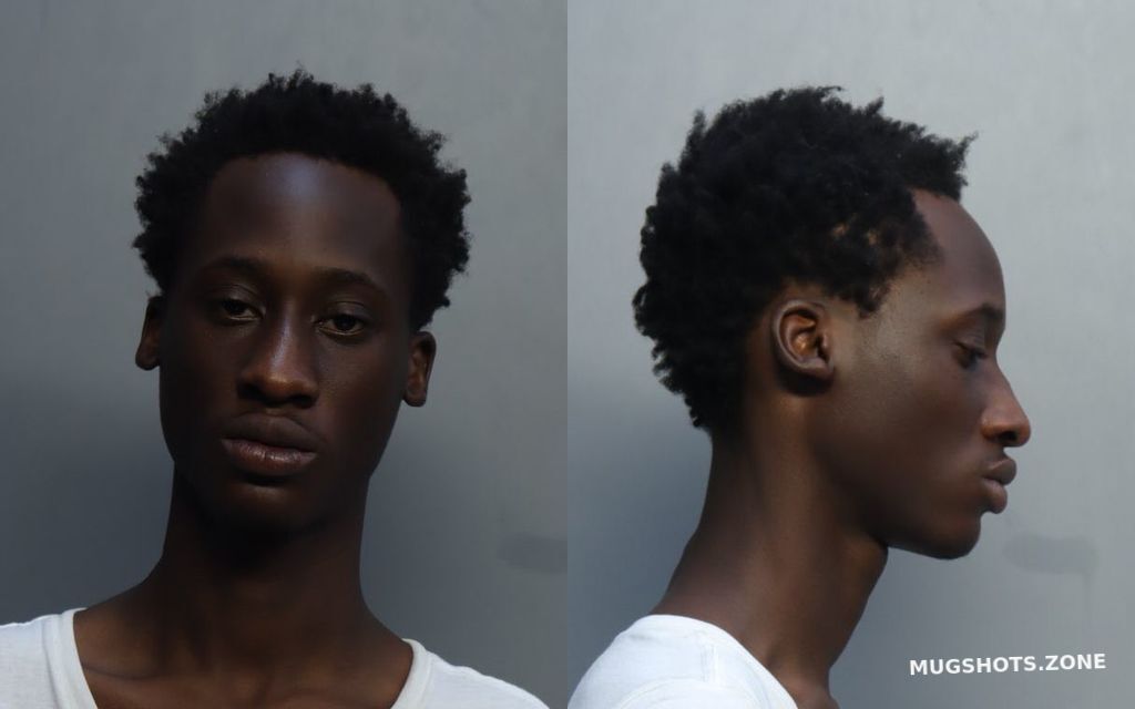 Alouidor Elijah Chancestin Miami Dade County Mugshots Zone