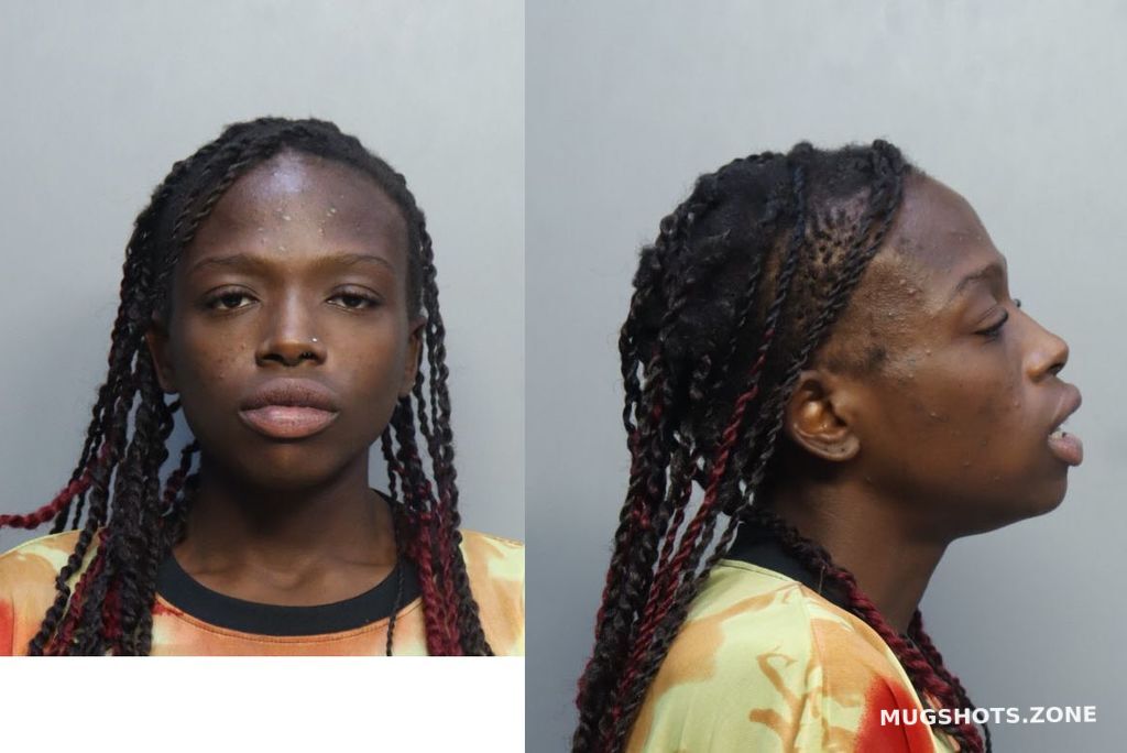 Mathias Joanne Miami Dade County Mugshots Zone