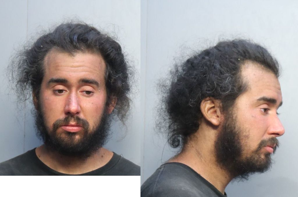 Cerrud Michael Miami Dade County Mugshots Zone