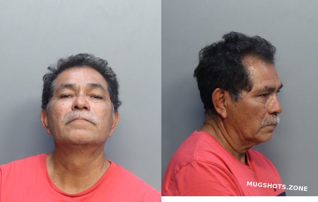 Analco Fidel Miami Dade County Mugshots Zone