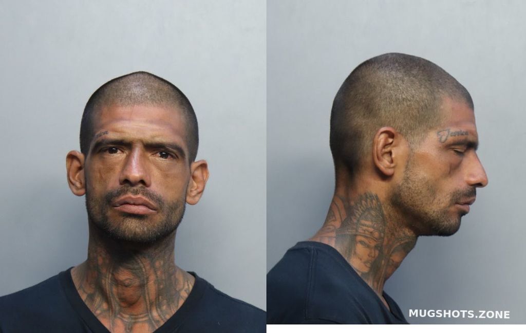 MEDINA ISRAEL 11 04 2022 Miami Dade County Mugshots Zone