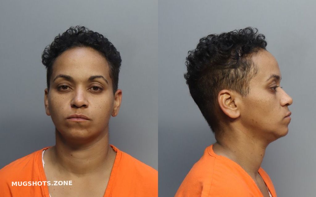 Tellez Youdelkis Miami Dade County Mugshots Zone