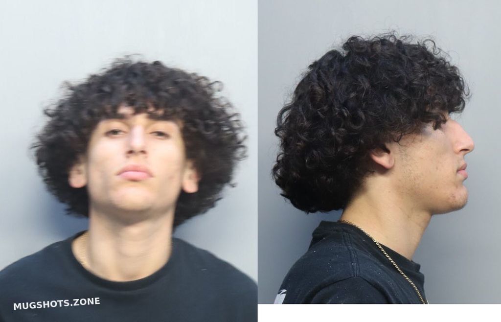 Ramirez Jeffery Miami Dade County Mugshots Zone