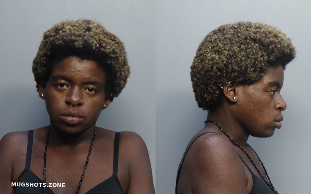 Dean Tamia A Miami Dade County Mugshots Zone