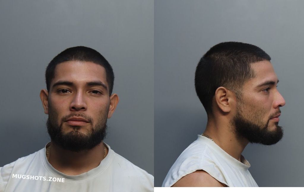 Hernandez Enrique Antonio Miami Dade County Mugshots Zone