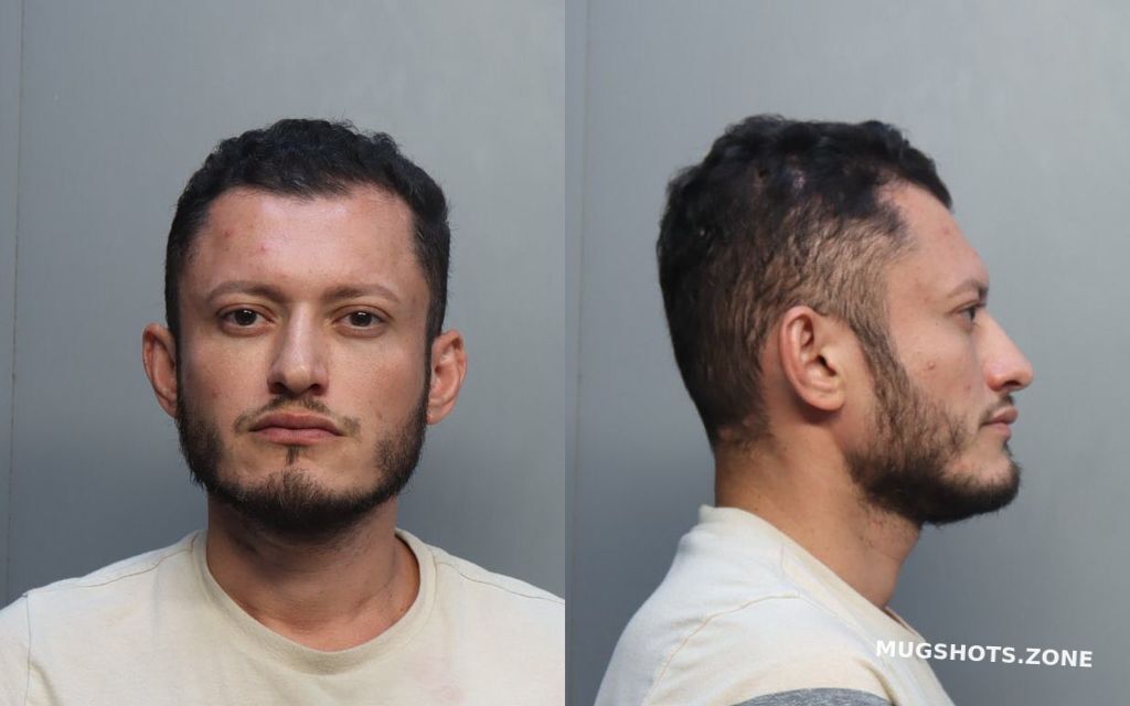 Maldonado Ronald Miami Dade County Mugshots Zone