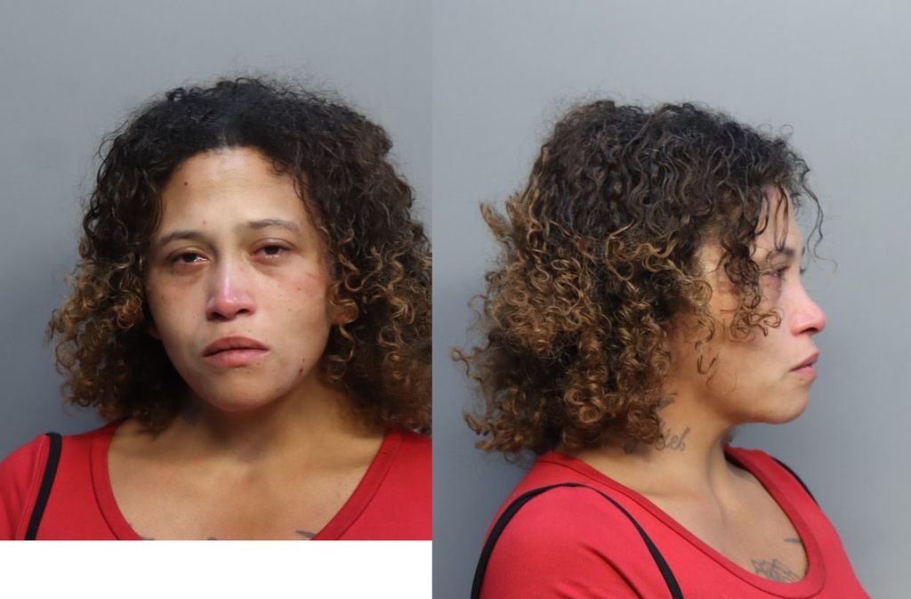 ESTRELLA YESENIA 11 24 2022 Miami Dade County Mugshots Zone