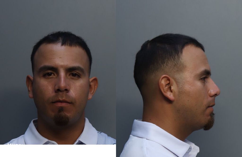 Pulido Fernando Miami Dade County Mugshots Zone