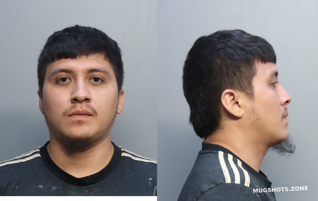 MENDIOLA EDUARDO 11 26 2022 Miami Dade County Mugshots Zone