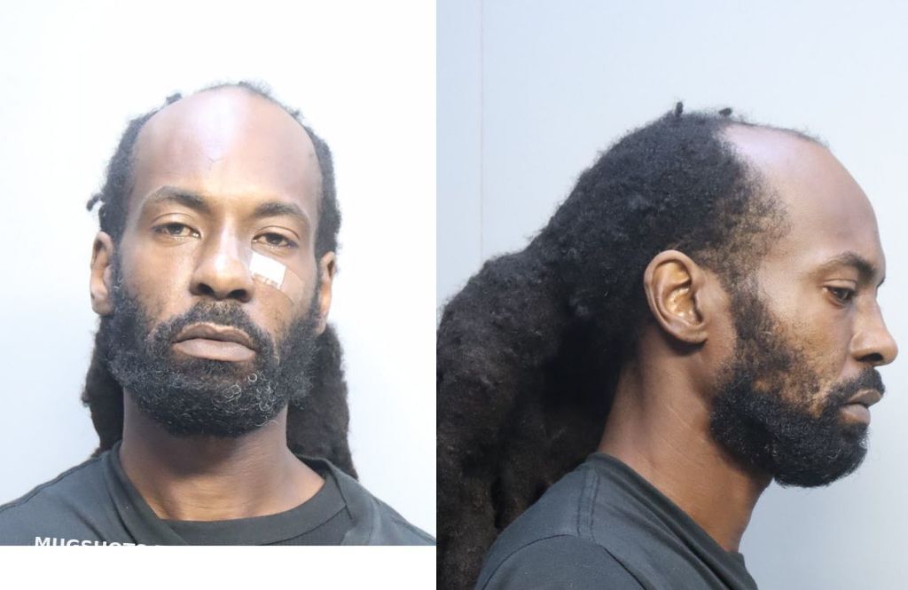 Liberal Carl Miami Dade County Mugshots Zone