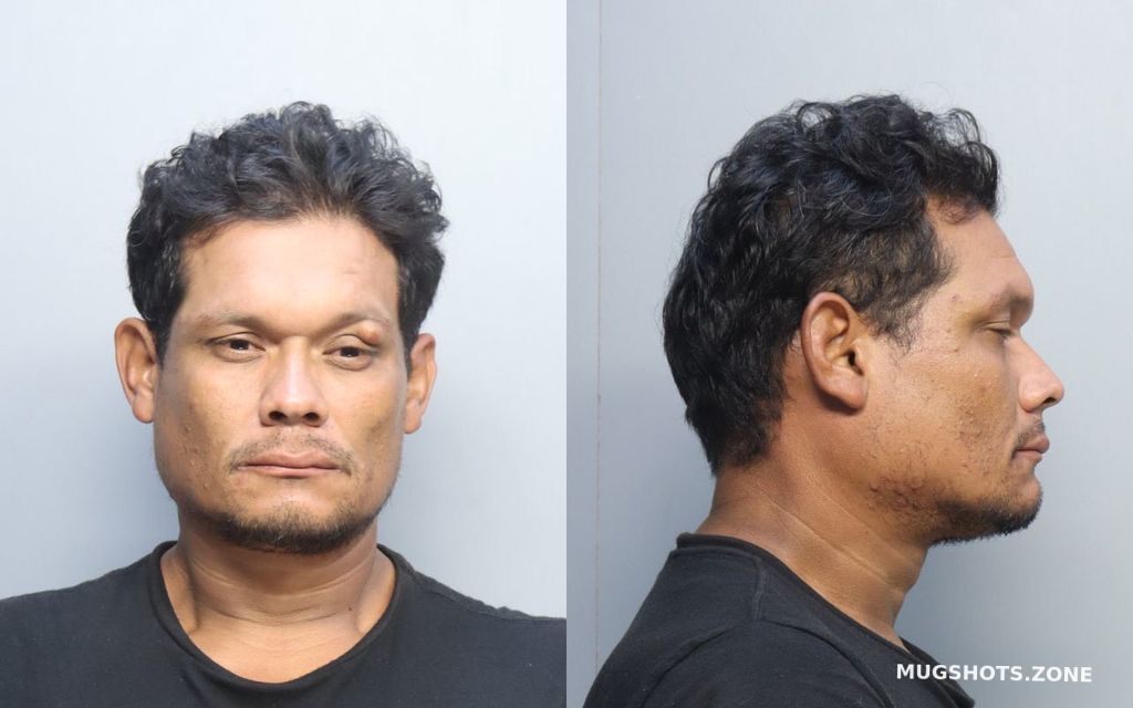 Aleman Miguel Miami Dade County Mugshots Zone