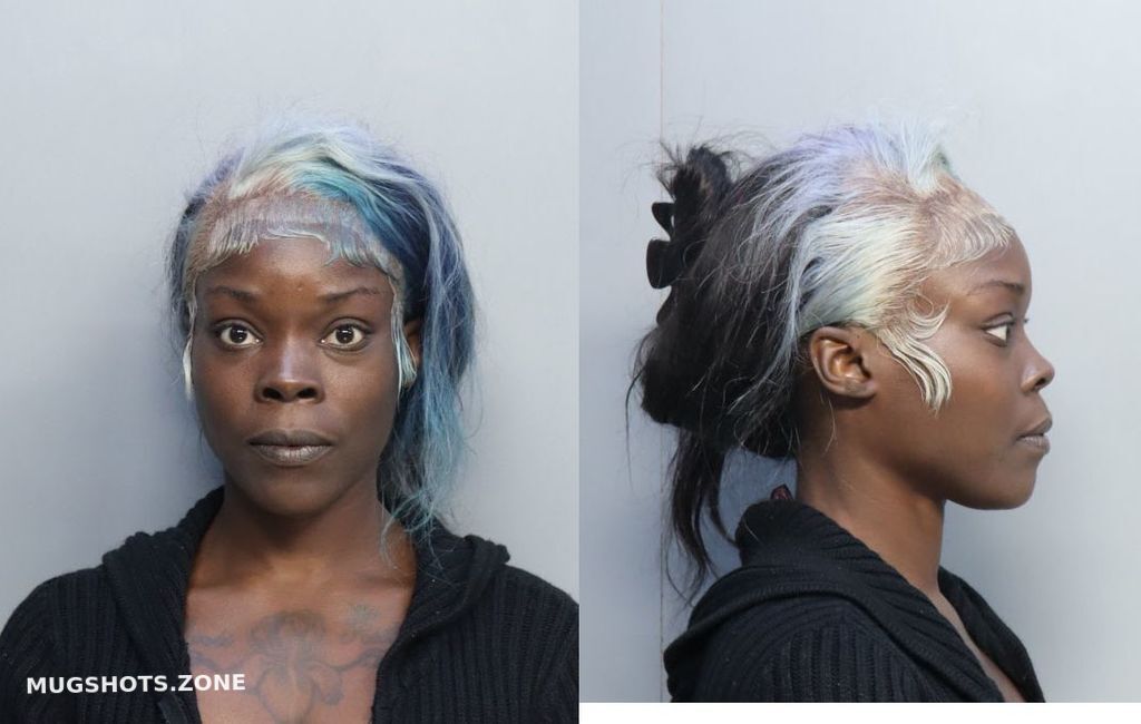 EDWARDS VANESSA L 12 16 2022 Miami Dade County Mugshots Zone