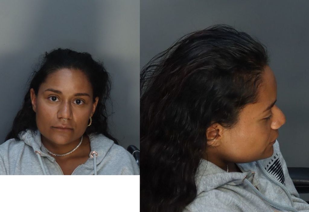 Lozada Karina Andrea Miami Dade County Mugshots Zone